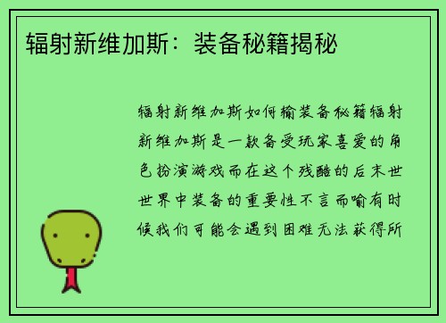 辐射新维加斯：装备秘籍揭秘